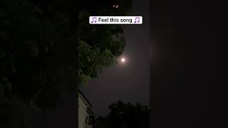 tu hi ye mujko bta de 🎵🎶☺️#song #feelthemusic #arjitsingh