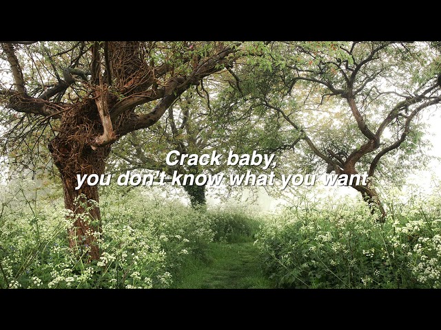 Crack Baby - Mitski (lyrics) class=