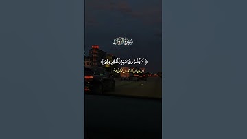 تلاوة خاشعة لآيات من كتاب الله #القرآن_الكريم #القرآن #المصحف #الله #اكسبلور #foryou #راحة_نفسية