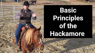 Basic Principles of the Hackamore (Bosal)  Horse Training