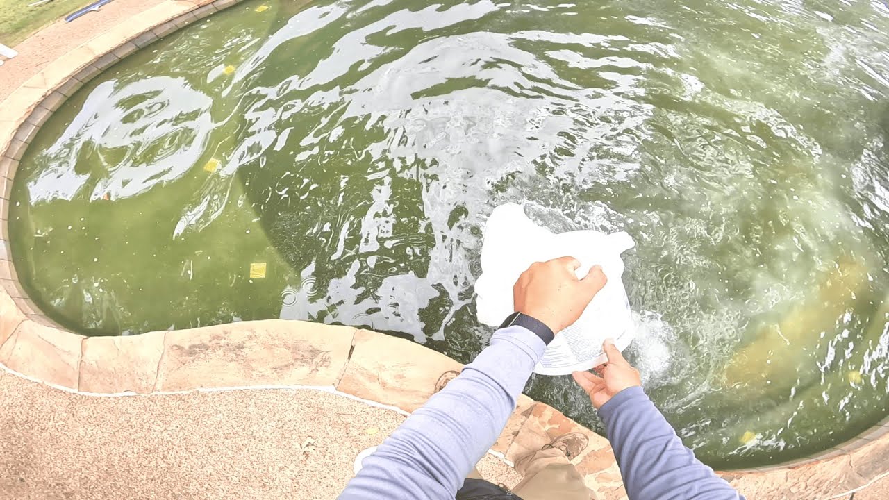 Спасение бассейна! Клиент Green to Clean не смог обратиться за помощью ни к одной компании, обслу...