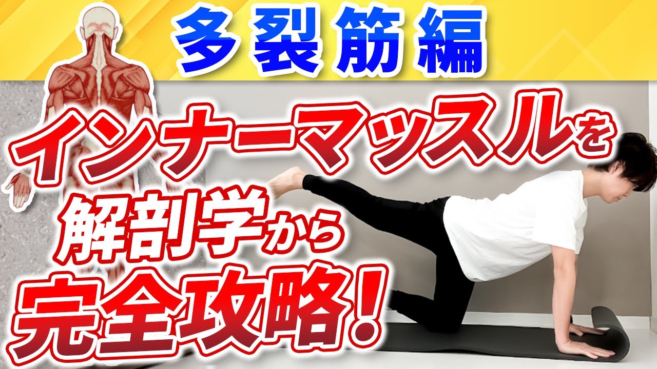 インナーマッスル多裂筋編〜腰痛攻略に必須な解剖学〜