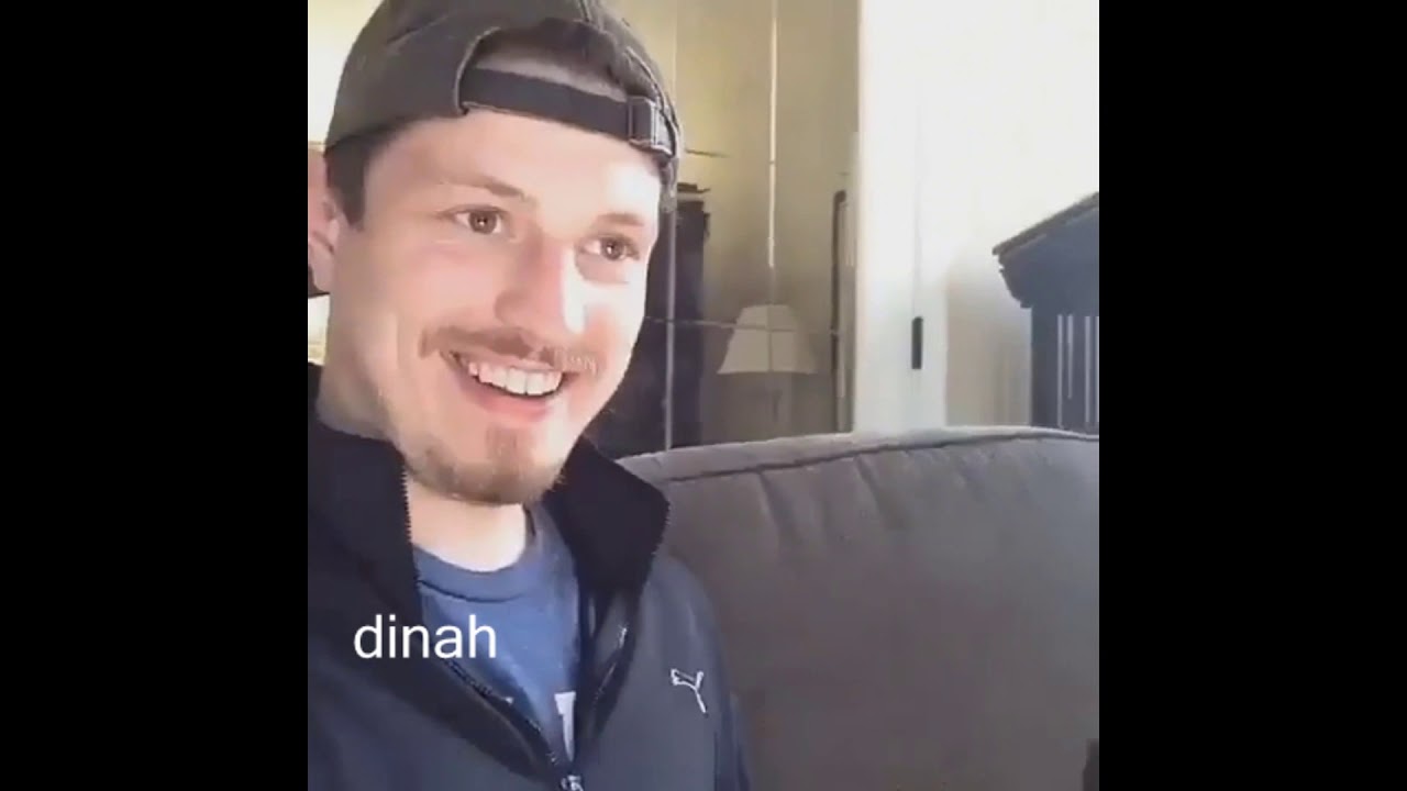 fifth harmony as vines