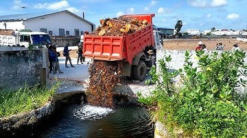 First Start Huge Landfill Project! Delete Deep Pond, Dozer D20P Pushing Stone, 5Ton Truck Unloading