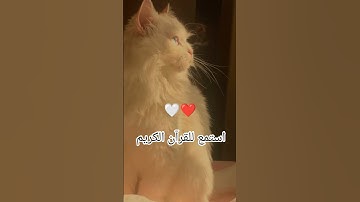 اكتب شيء تؤجر عليه يوم القيامة 😴🖤 #آيات_الرحمة #المصحف #اللهم_صل_على_محمد_وال_محمد #اكسبلور