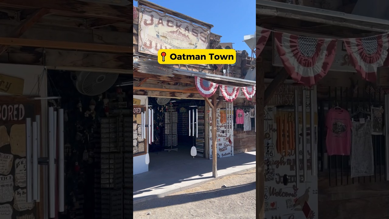 Epic Daytrip: Laughlin to Oatman Adventure!