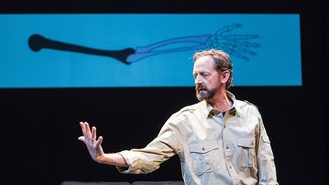 Gaps in the Fossil Record