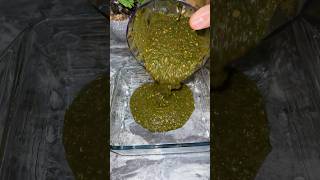 My Family’s Favorite BBQ Chatni/ Bbq Sauce/ Eid ul Adha Recipe #bbqsauce #viralshorts #desifood