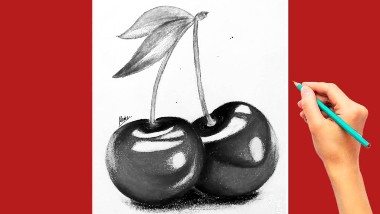 How to Draw Realistic Cherries | Pencil Shading & Sketch Tutorial