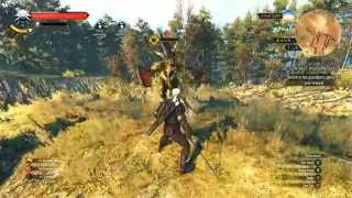 Witcher 3 - Battle with a Forktail