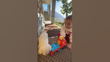 🙀Virale clip van het jaar 🤣😂😜 #viraal #kortevideo