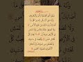 سورة لقمان من 17 الى 19 قرآن قران كريم آية آيات سورة لقمان سورة لقمان من 17 الى 19 قرآن قران كريم آية آيات سورة لقمان