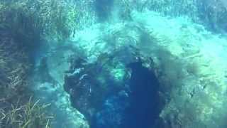 One of the most beautiful springs in florida, blue hole aka jug pumps
out over 38 million gallons water per day. enjoy this video f...