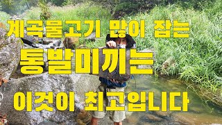 계곡물고기 많이 잡는 통발미끼는 이것이 최고입니다  작은고기방생 메기매운탕 먹었슈