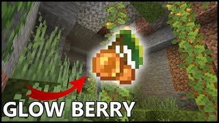 How To Use GLOW BERRIES In MINECRAFT 1.18