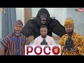 AFRICAN HOME: POCO THE GORILLA (PART 2) image