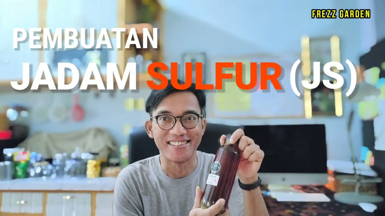 Pembuatan JADAM SULFUR, Menanggulangi Beragam Penyakit dan Hama Tanaman