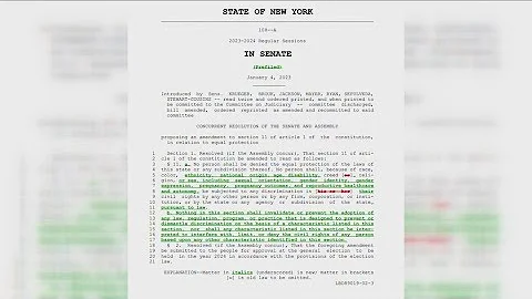 New York State's proposed Equal Rights Amendment stirs debate