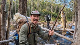 Chasing Trout with Scotty's Gone Walkabout