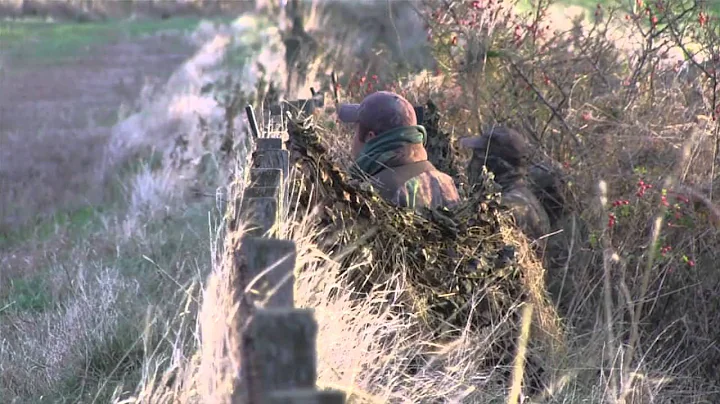 The Shooting Show – goose shooting with the experts