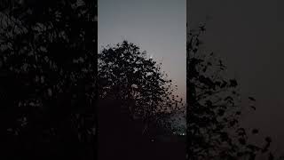 moon #vlog #shorts #village