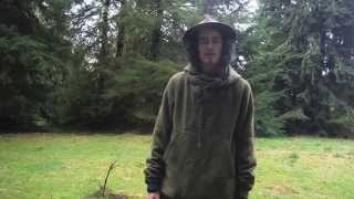How to move in the woods part 1. Animal communication and Awareness concept