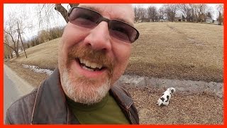 Wendy's Edit, Walk the Dog, Renovations Update, 8 Birthdays - Ken's Vlog #329 Wendy's Edit, Walk the Dog, Renovations Update, 8 Birthdays - Ken's Vlog #329