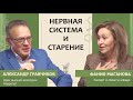 Александр Гравчиков: Нервная система и старение