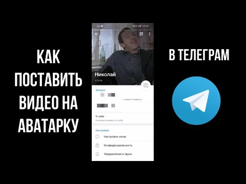 Как поставить видео на аватарку в телеграмме, как установить видео на аву в  ТГ, анимированный аватар - YouTube