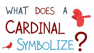 What Does It Mean When You See A Cardinal?