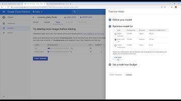 Google AutoML Tutorial: Step 3 Review and Train Model