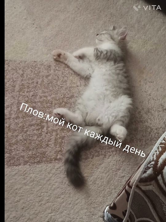 #мэм - YouTube