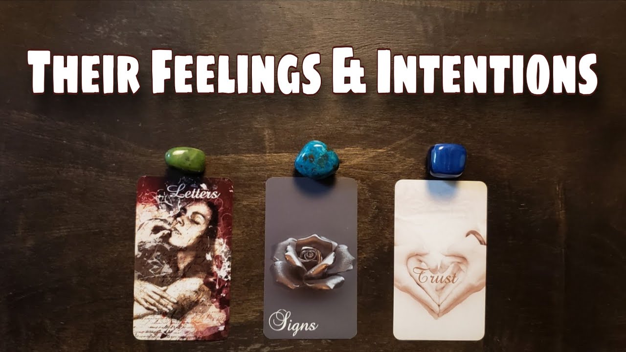 💘😻 Their Feelings & Intentions | Pick A Card Love Reading 