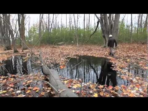 The Rapides du Cheval wetlands