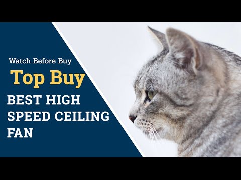 Video: Cat Dander - Pet Dander - Katteallergier