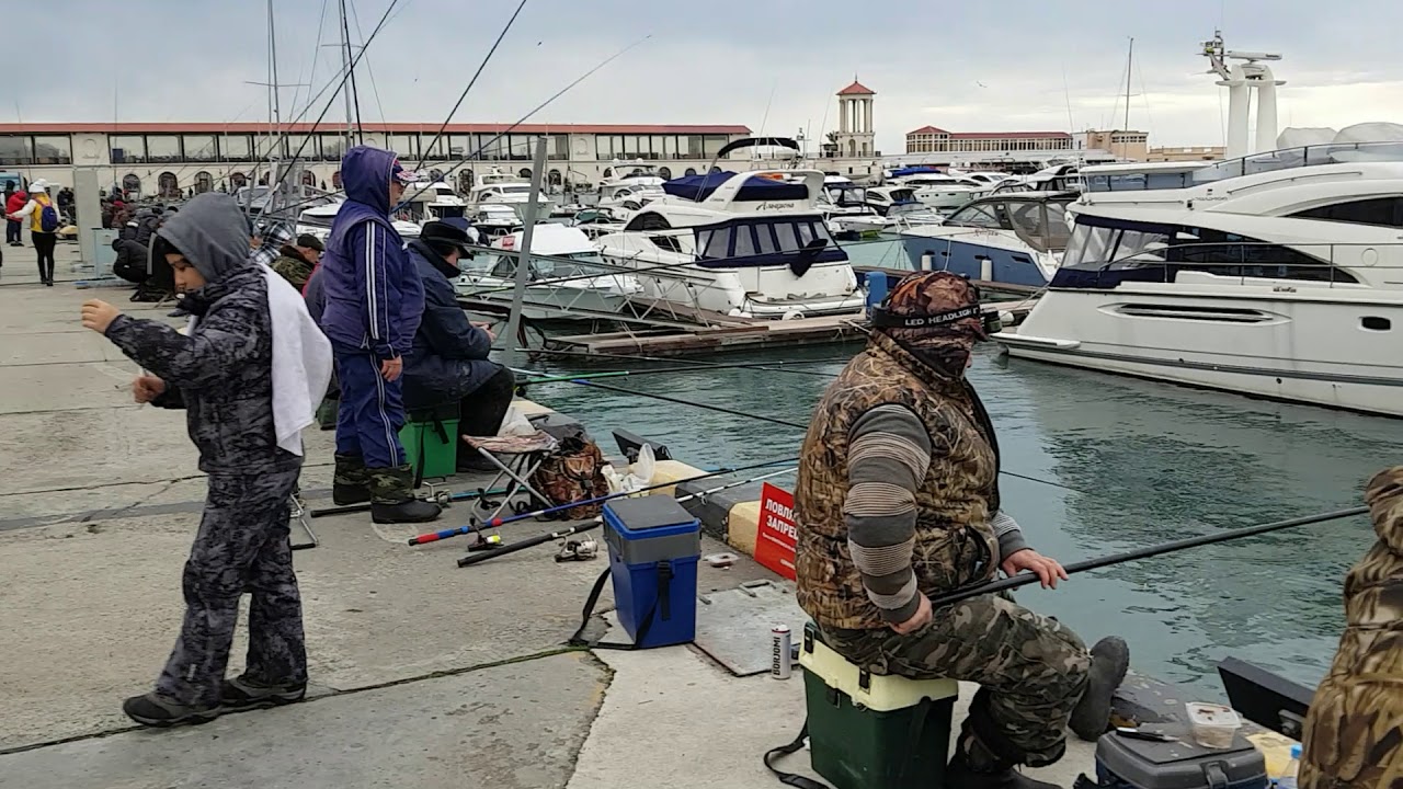 В сочи ловят. У рыбака, Сочи. Рыболовство в Сочи. Рыбалка в Сочи. У рыбака Адлер.