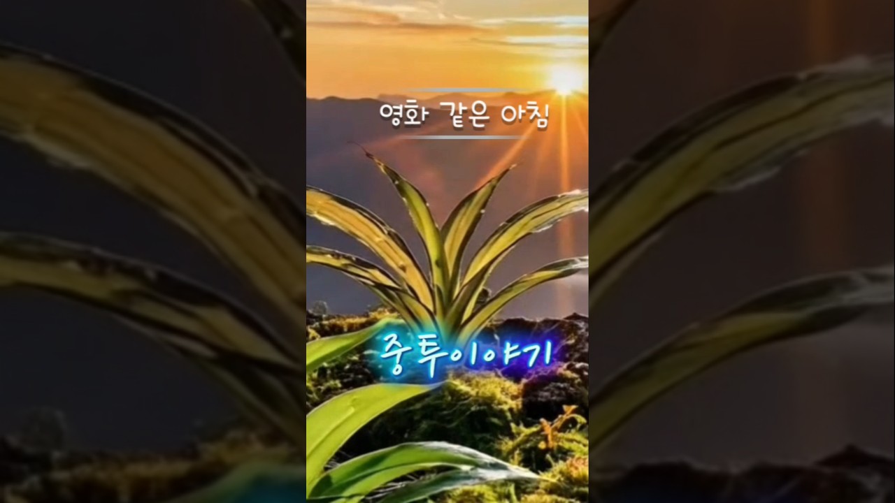 ‼️산속의 최고의 가치‼️ #난초 #란쟁이tv #산행 #orchid #nature #koreanorchid #희귀식물 #중투 #ai