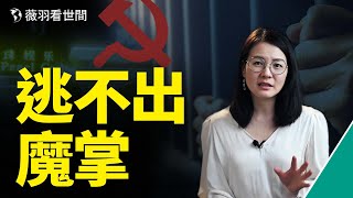 他們被賣給詐騙集團，失去自由，卻求助無門，他們是中國的棄兒，黑手的目標。｜薇羽看世間 第375期 20210920