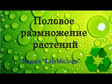 Половое размножение растений