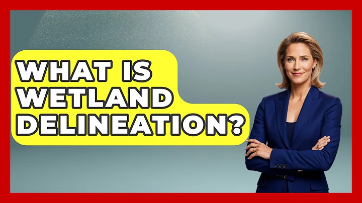 What Is Wetland Delineation? - The Geography Atlas