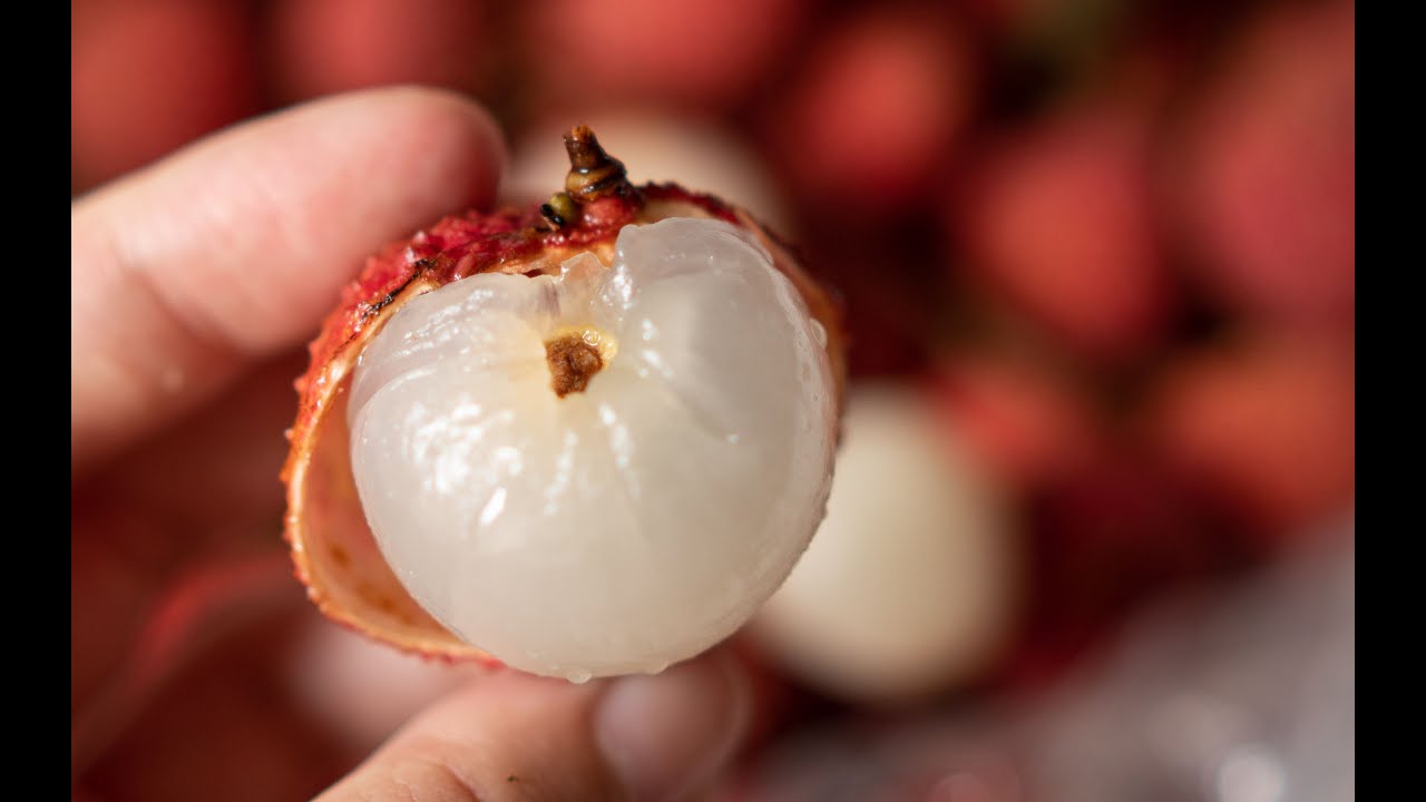 【荔枝保鲜大法】最好吃的两个荔枝品种 【糯米糍】和【桂味】直观对比！