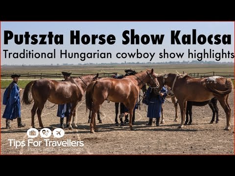 Vidéo: Hungarian Horse Show sur la Puszta