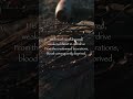 The Cross (Part 2)
