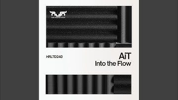 Into the Flow (Radio Edit)