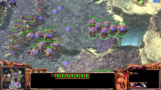 StarCraft II ZvP Gameplay No Commentary