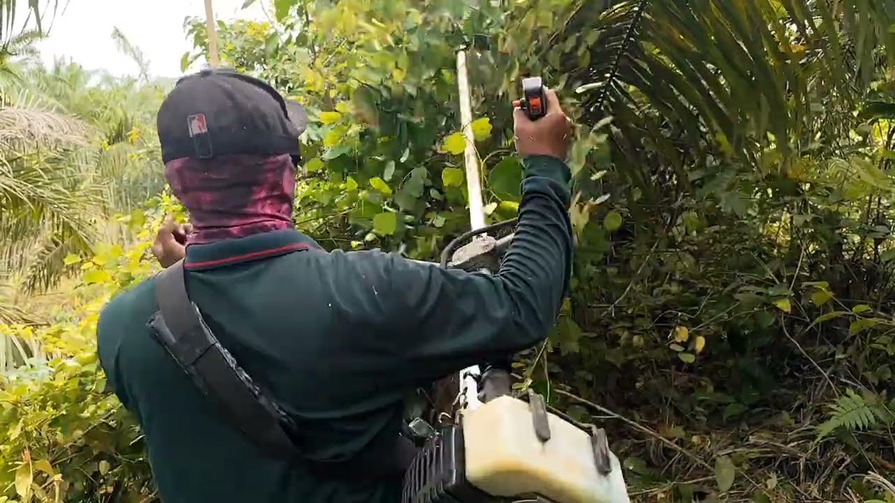 Mesin potong rumput seringan inikah