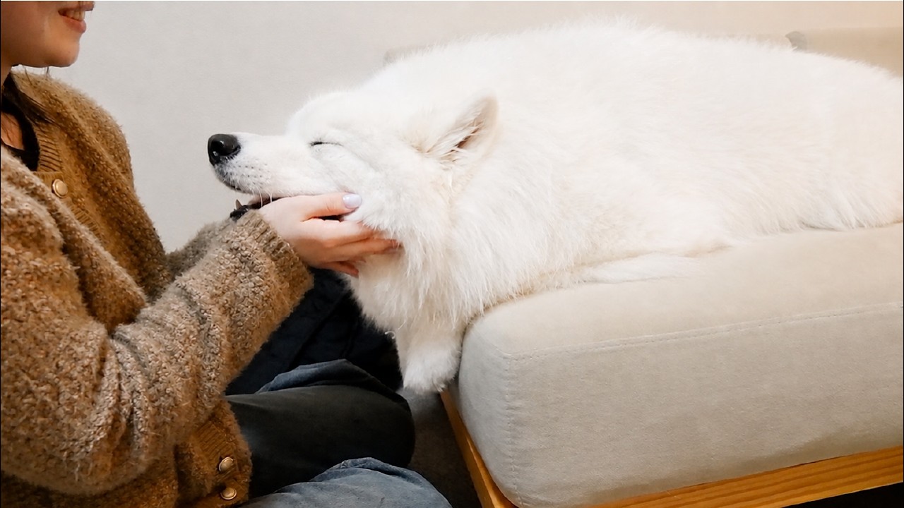 Favorite Cousin Visits and Our Dog Completely Ignores Mom