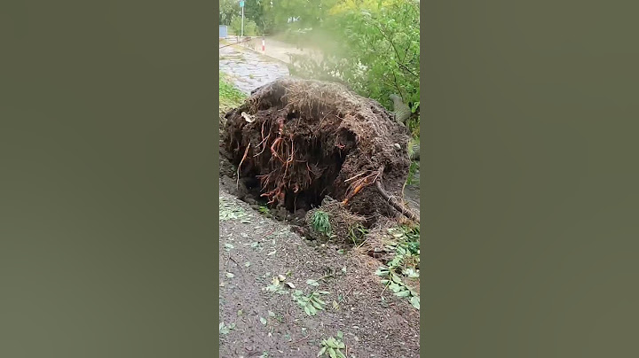 🇦🇹Hochwasser in Liesing, aus dem Bach wird ein reißender Fluss