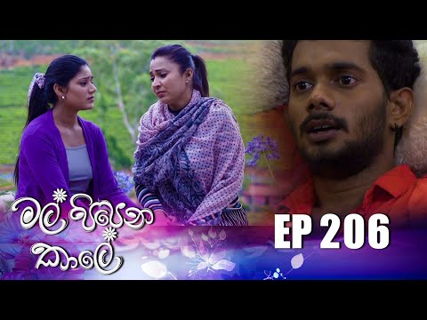 Mal Pipena Kaale | Episode 206 19th July 2022