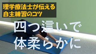 理学療法が伝える自主練習のコツ　四つ這いで体を柔らかく